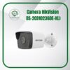 Camera HikVision DS 2CD1023G0E IL an ninh toan cau